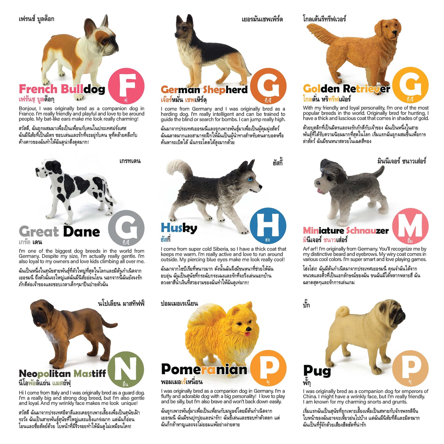 Toy Box Set: Most Beloved Dog Breeds