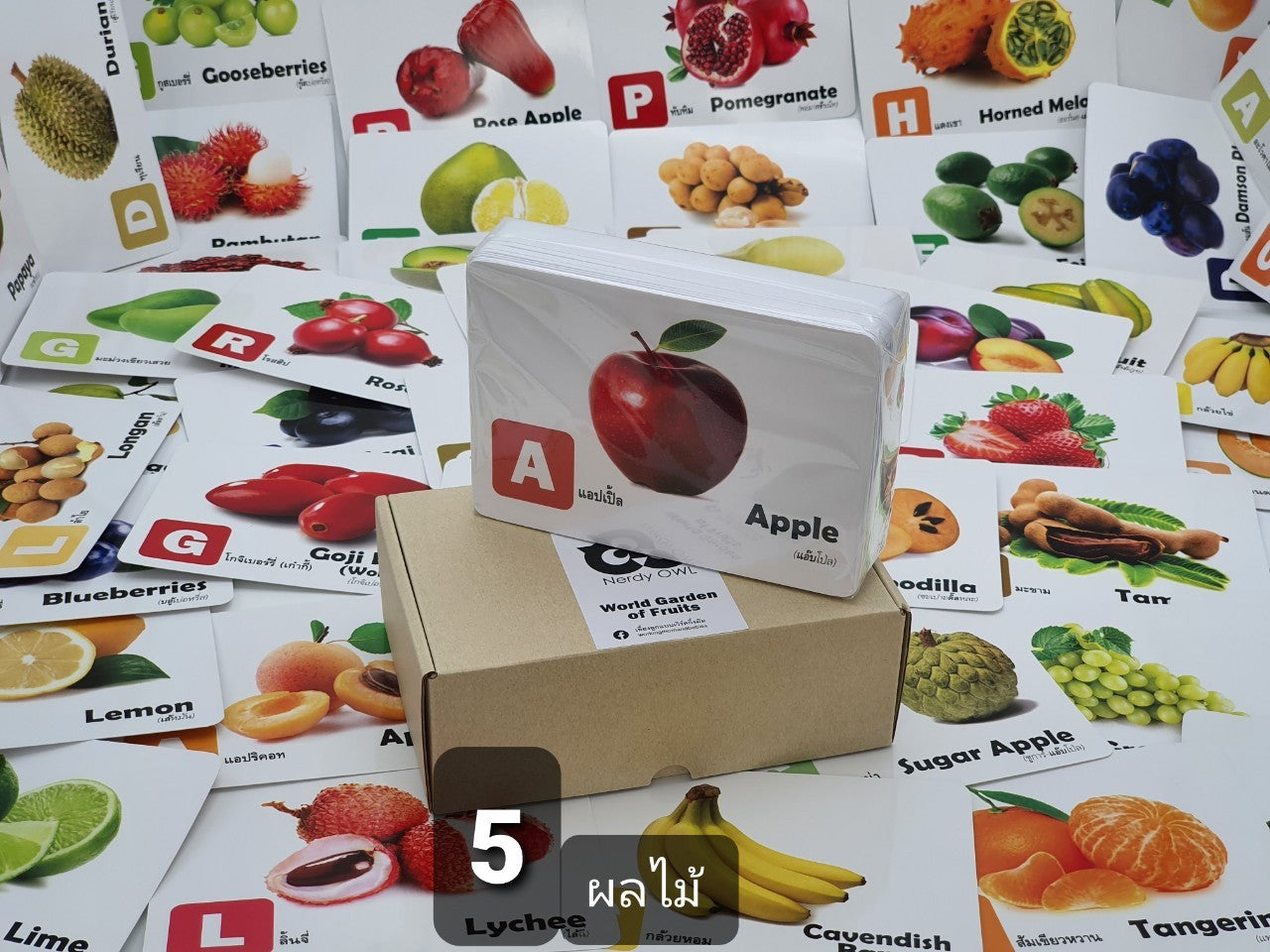 Flash Cards: World Garden of Fruits