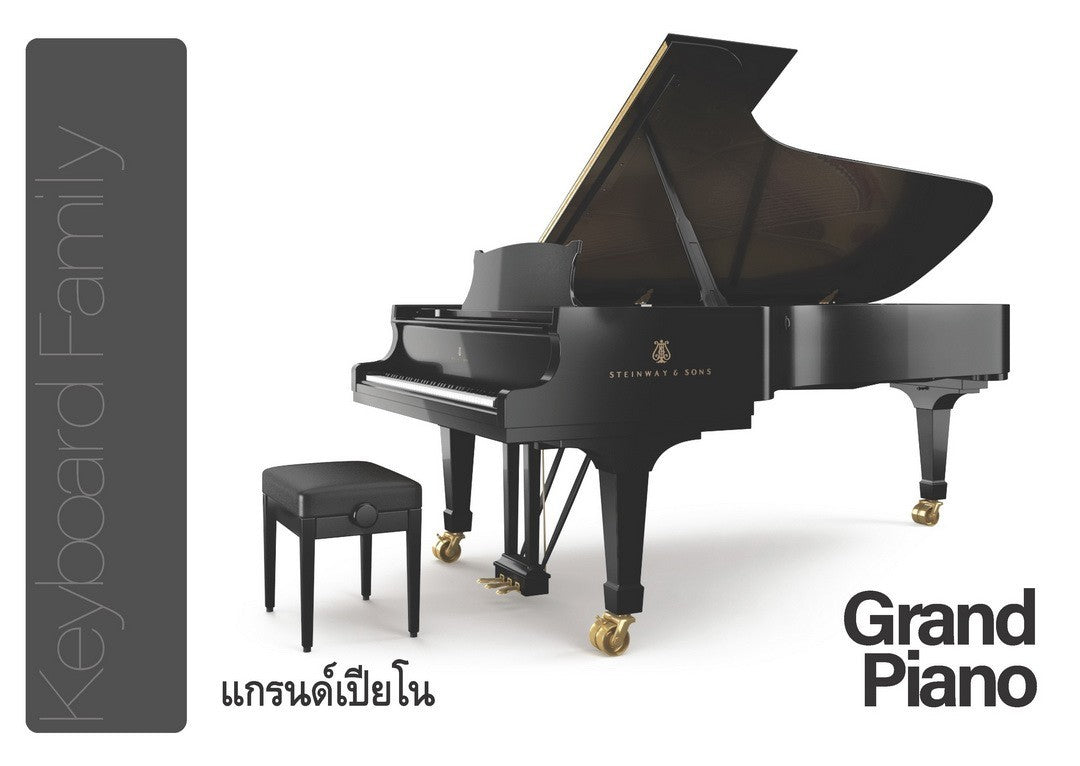 Flash Cards: Musical Instruments