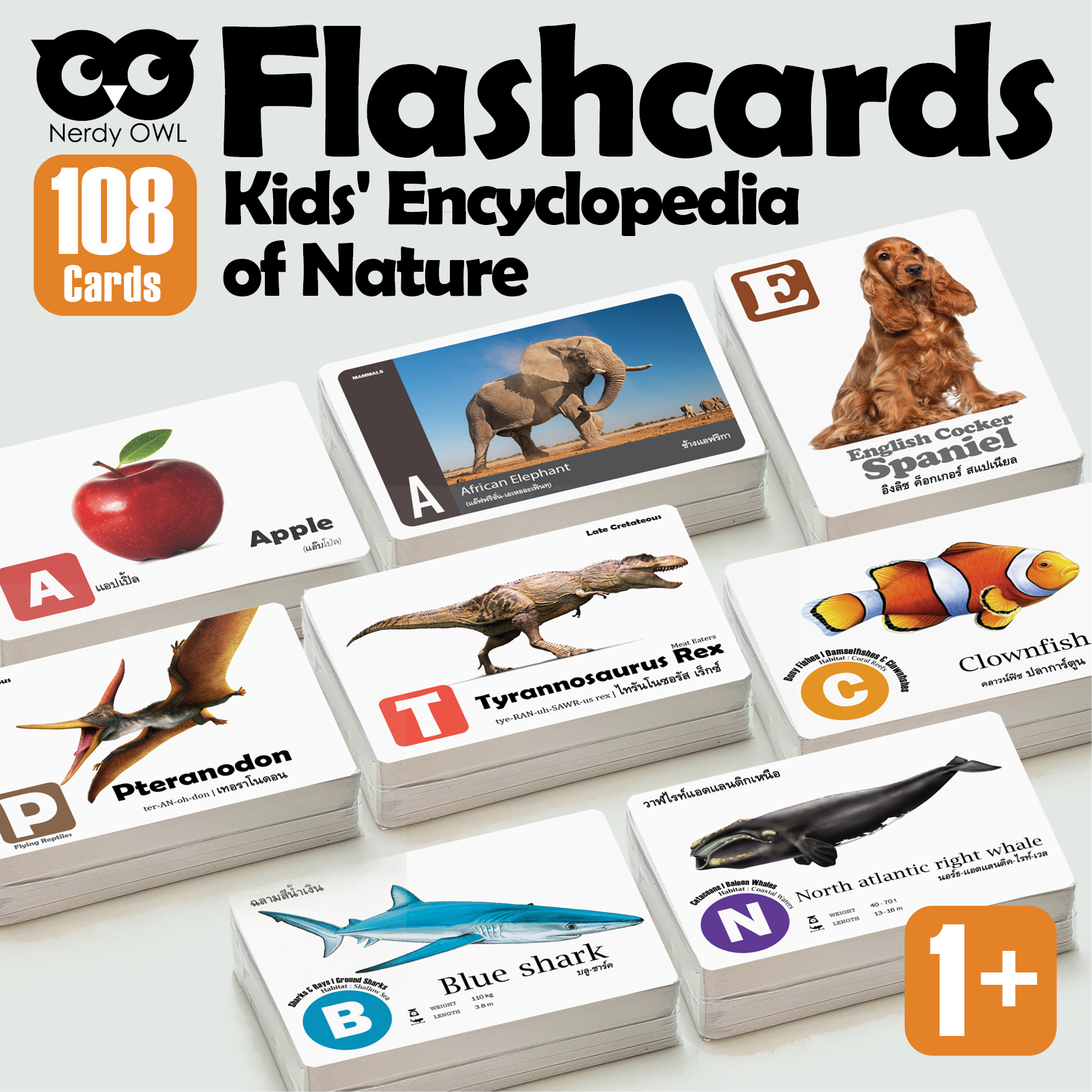 Flash Cards: Nature – Nerdy Owl