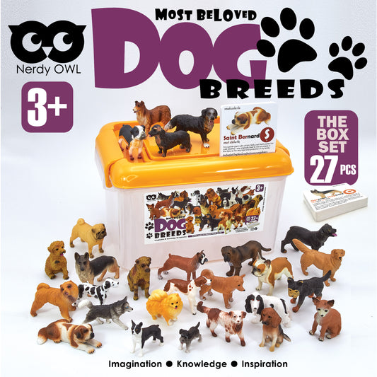 Toy Box Set: Most Beloved Dog Breeds