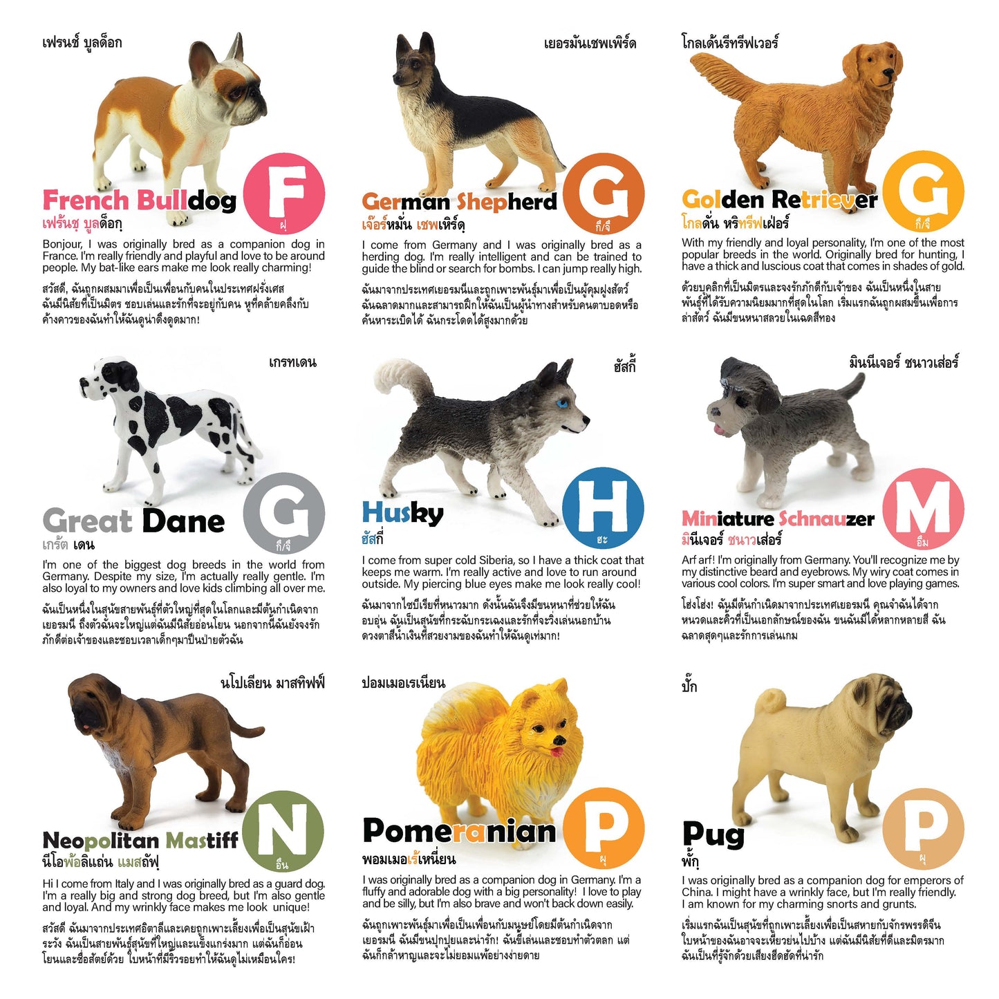 Toy Box Set: Most Beloved Dog Breeds