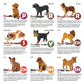 Toy Box Set: Most Beloved Dog Breeds