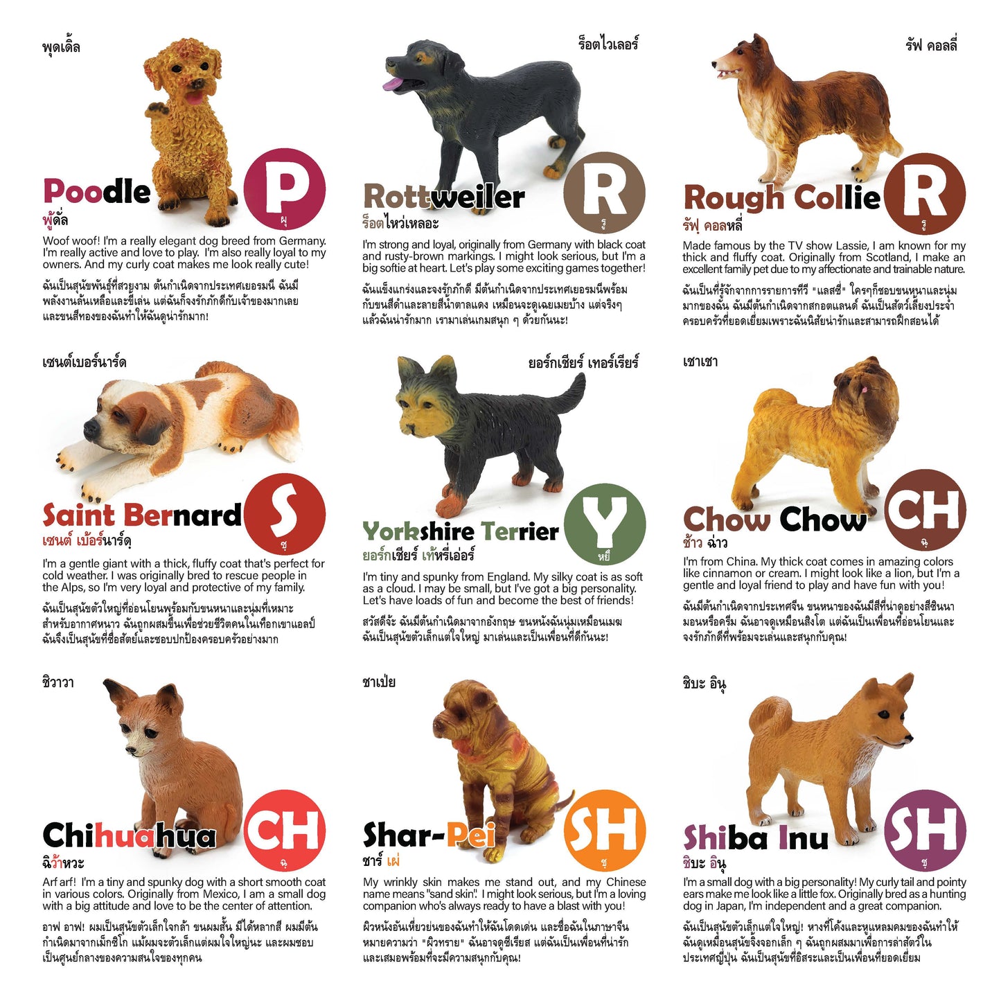 Toy Box Set: Most Beloved Dog Breeds