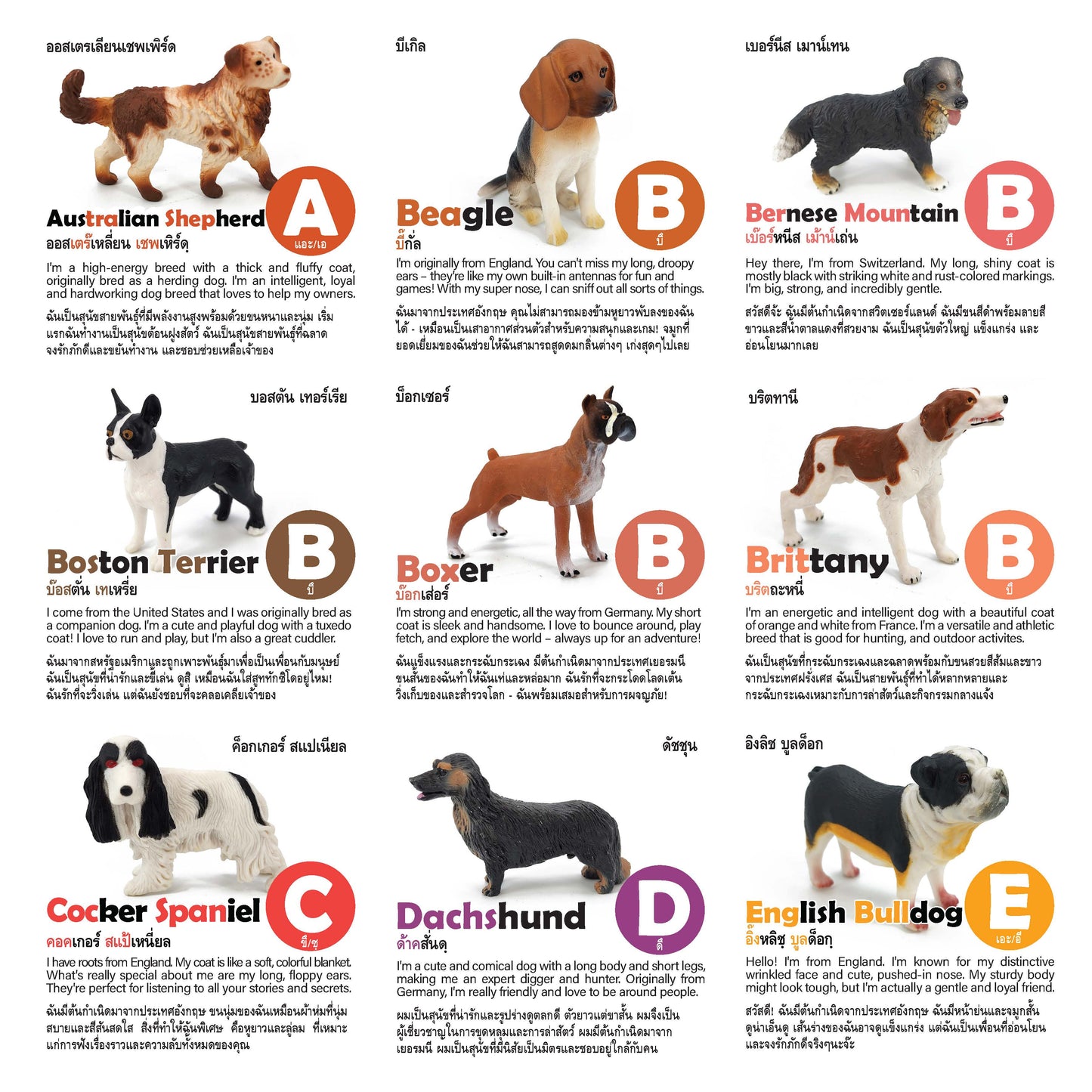 Toy Box Set: Most Beloved Dog Breeds