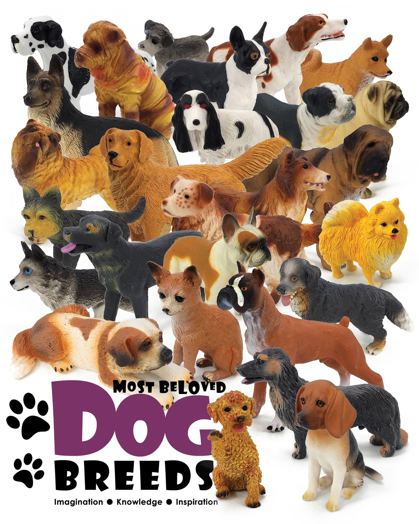 Toy Box Set: Most Beloved Dog Breeds