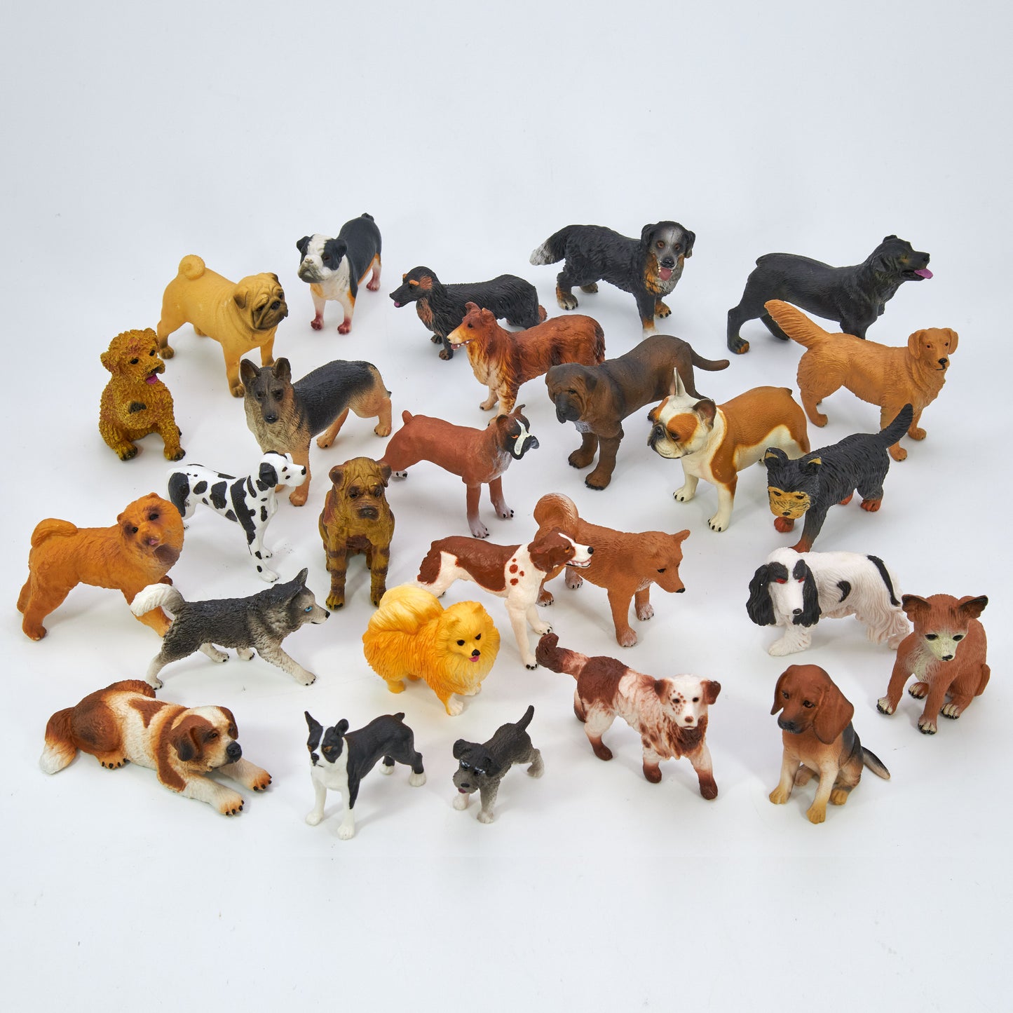 Toy Box Set: Most Beloved Dog Breeds