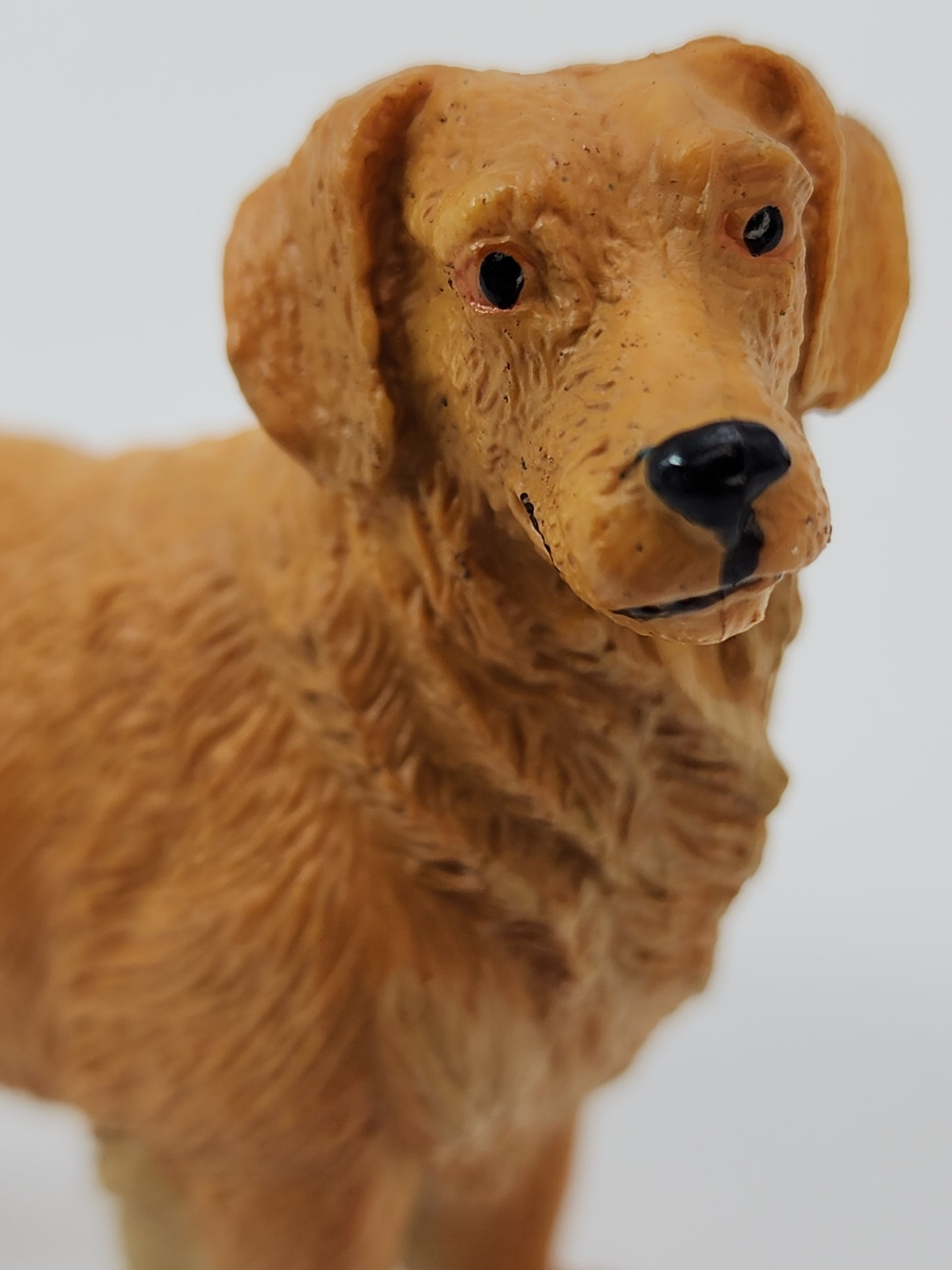 Toy Box Set: Most Beloved Dog Breeds