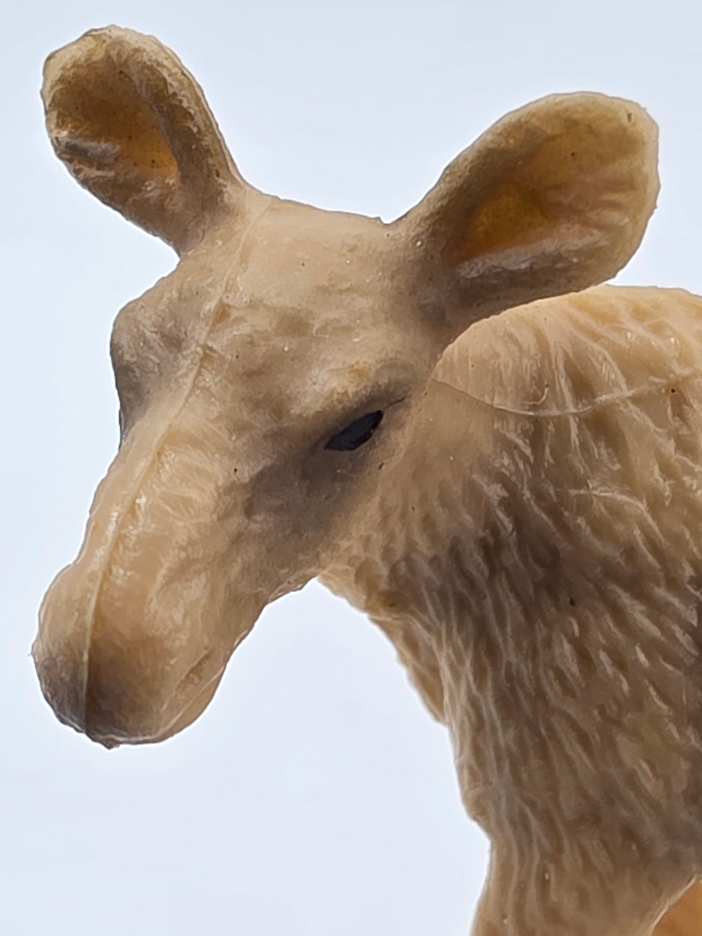 Toy Box Set: Cutie Baby Animals 34 pieces