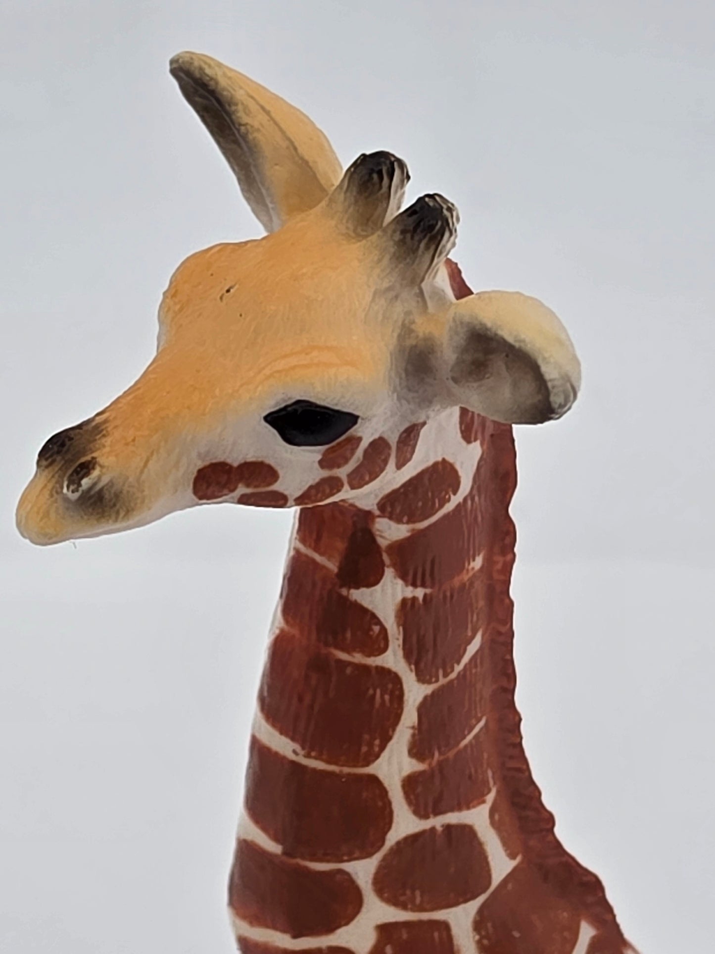 Toy Box Set: Cutie Baby Animals 34 pieces