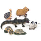 Toy Box Set: Cutie Baby Animals 34 pieces