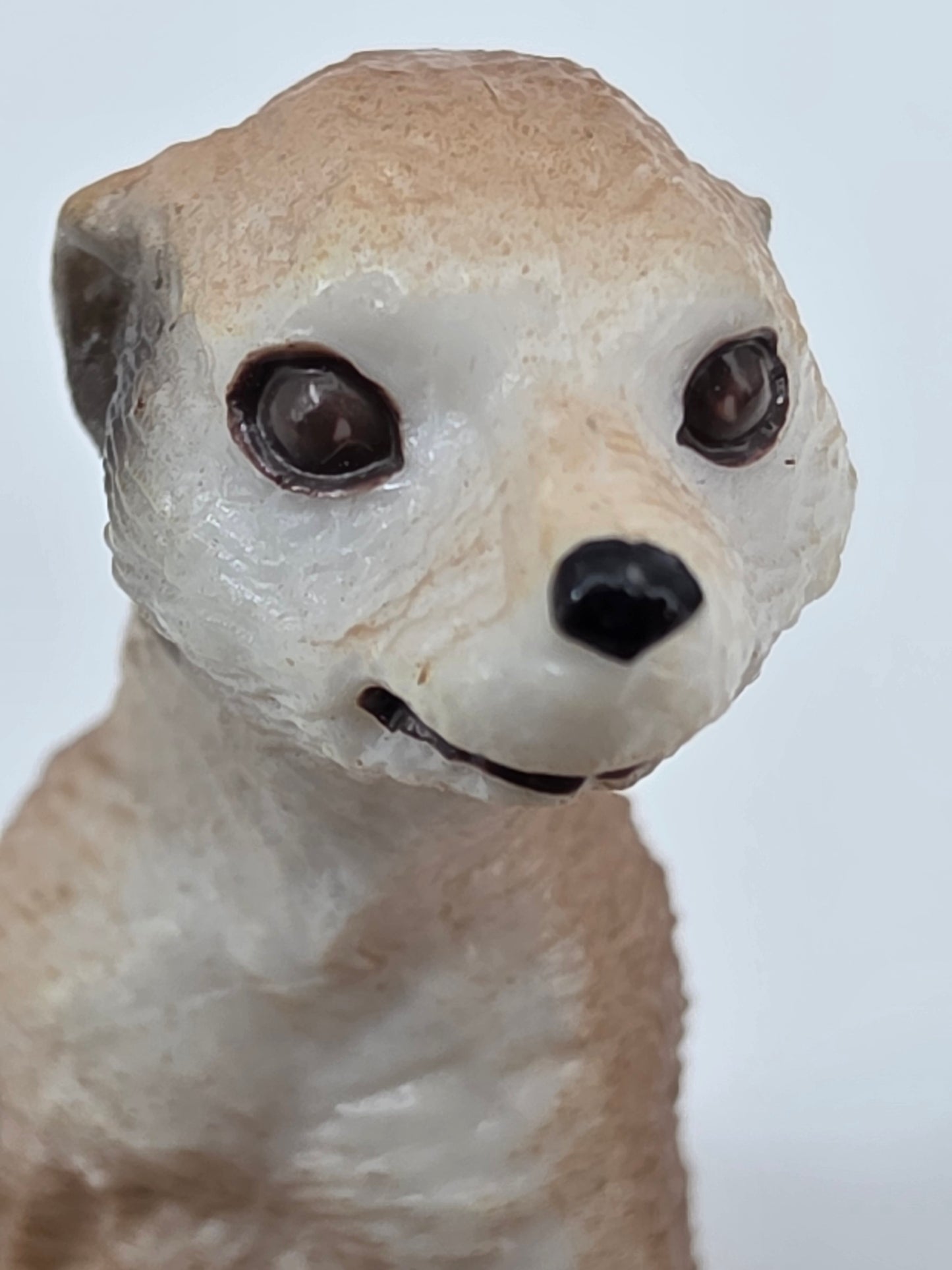 Toy Box Set: Cutie Baby Animals 34 pieces