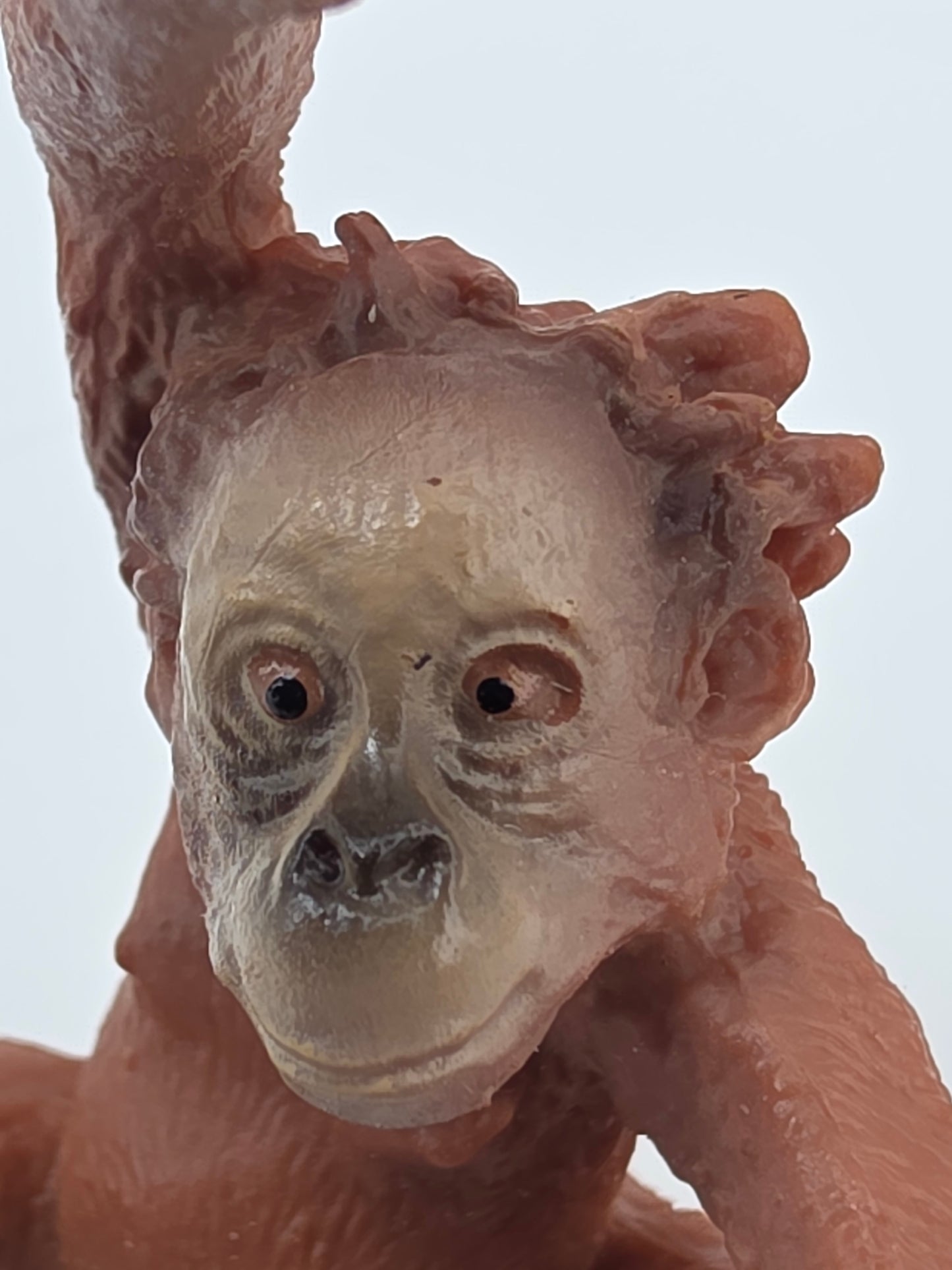 Toy Box Set: Cutie Baby Animals 34 pieces