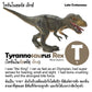 Toy Box Set: World of Dinosaurs