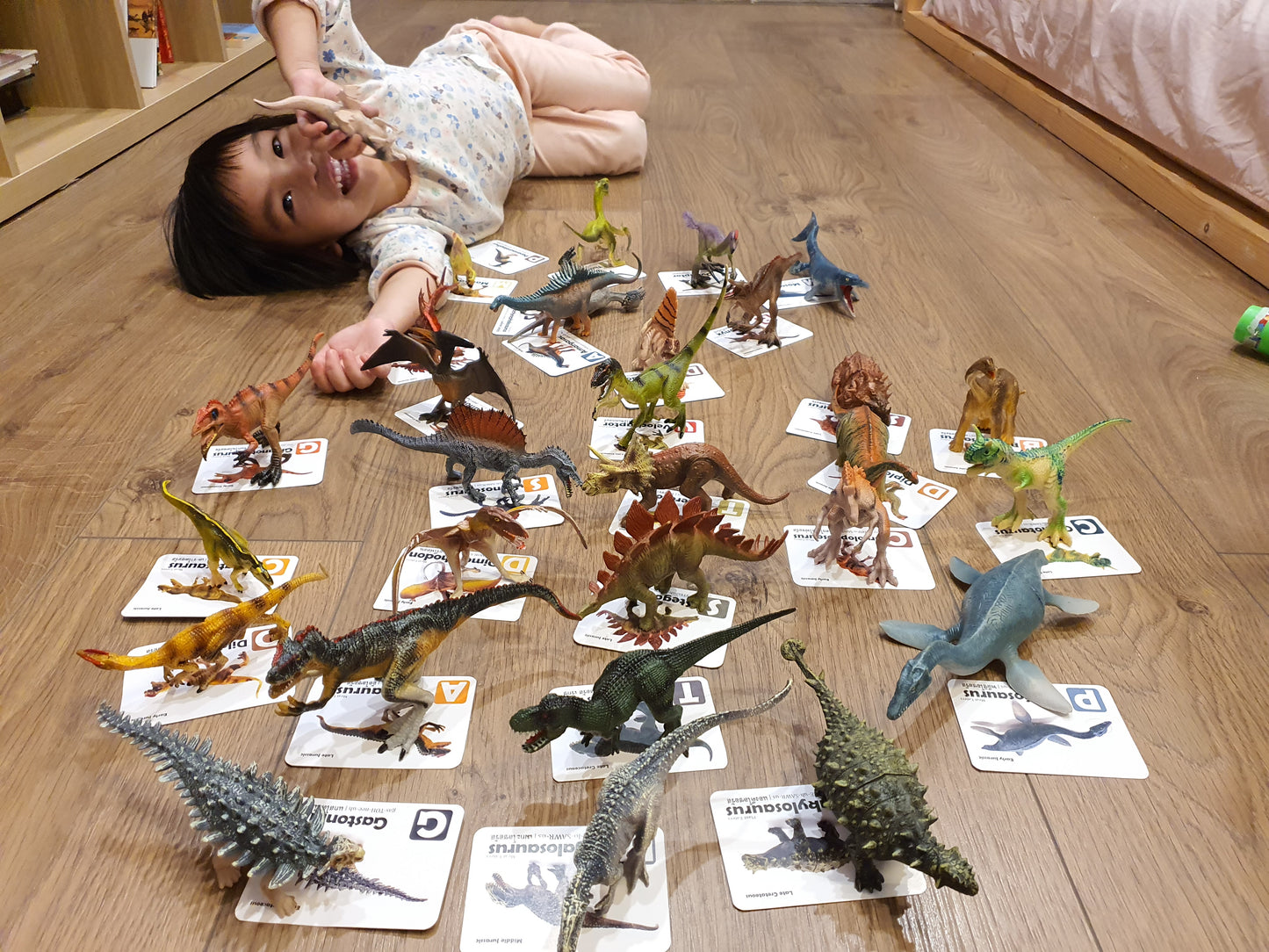 Toy Box Set: World of Dinosaurs