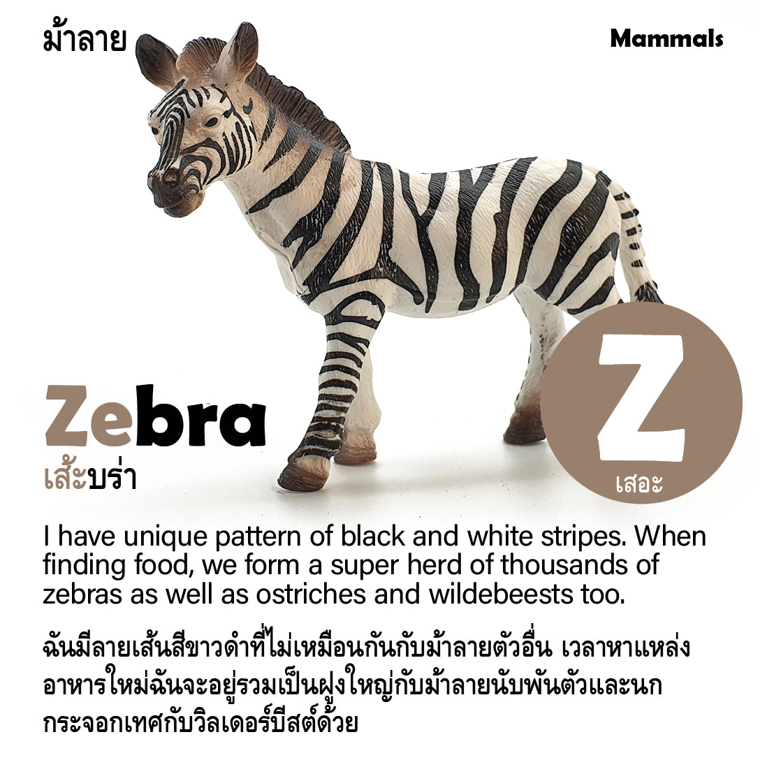 Toy Box Set: Wild Animals A-Z