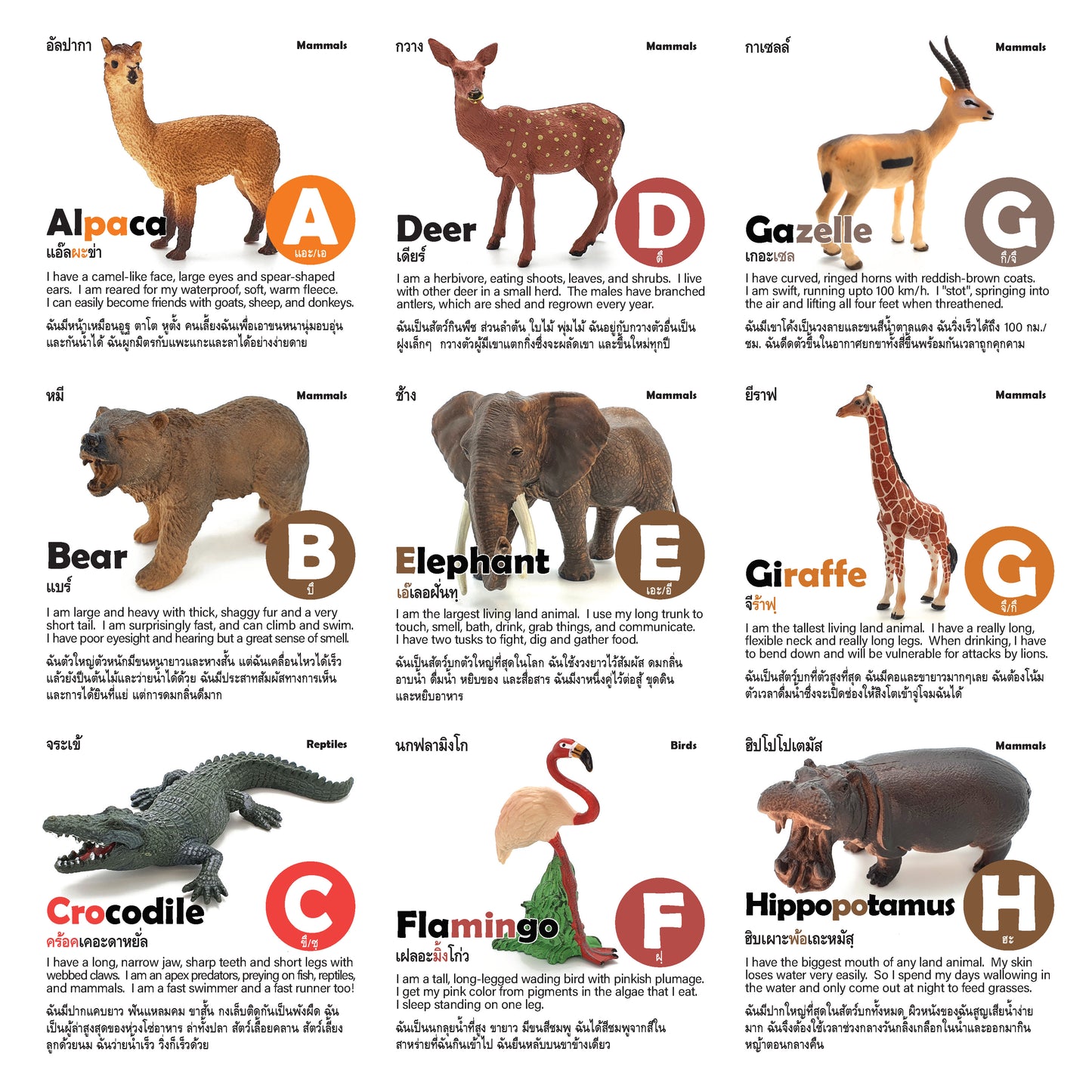 Toy Box Set: Wild Animals A-Z