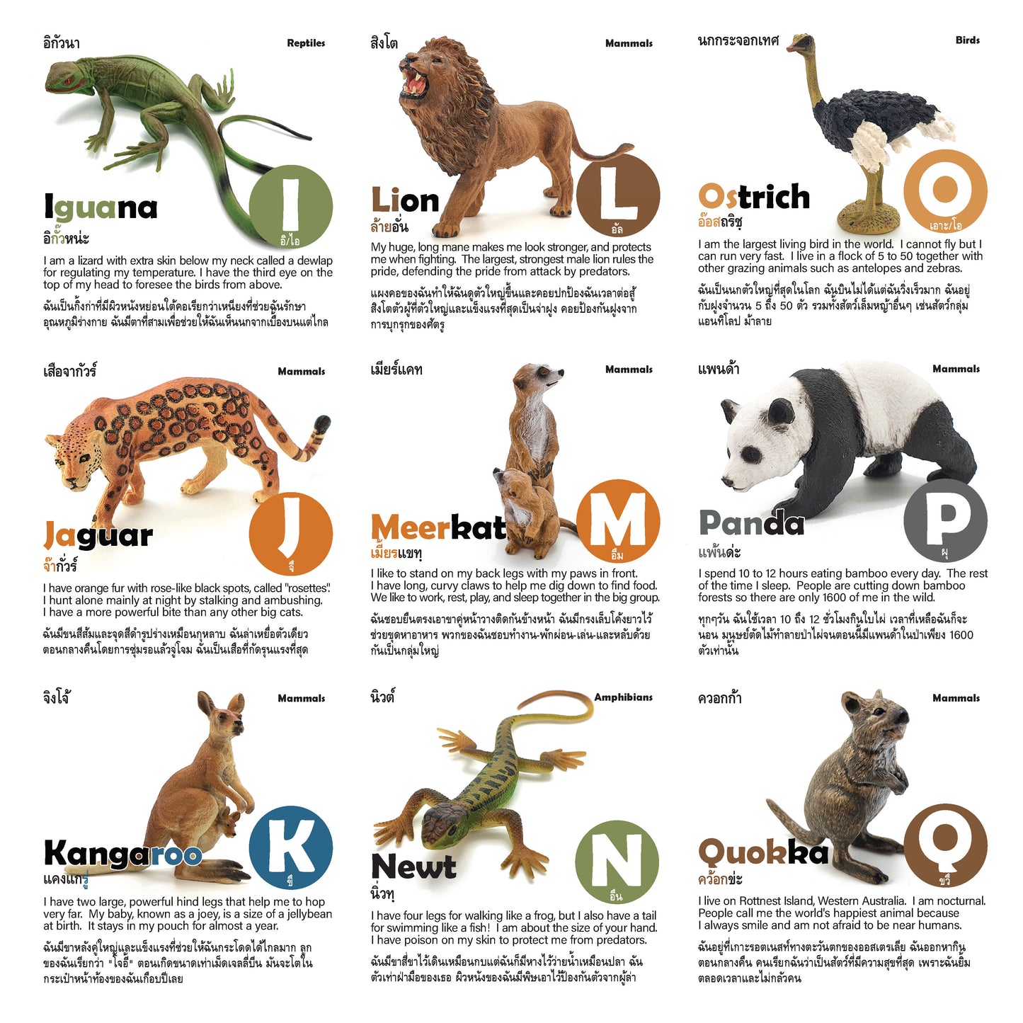 Toy Box Set: Wild Animals A-Z