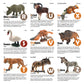 Toy Box Set: Wild Animals A-Z