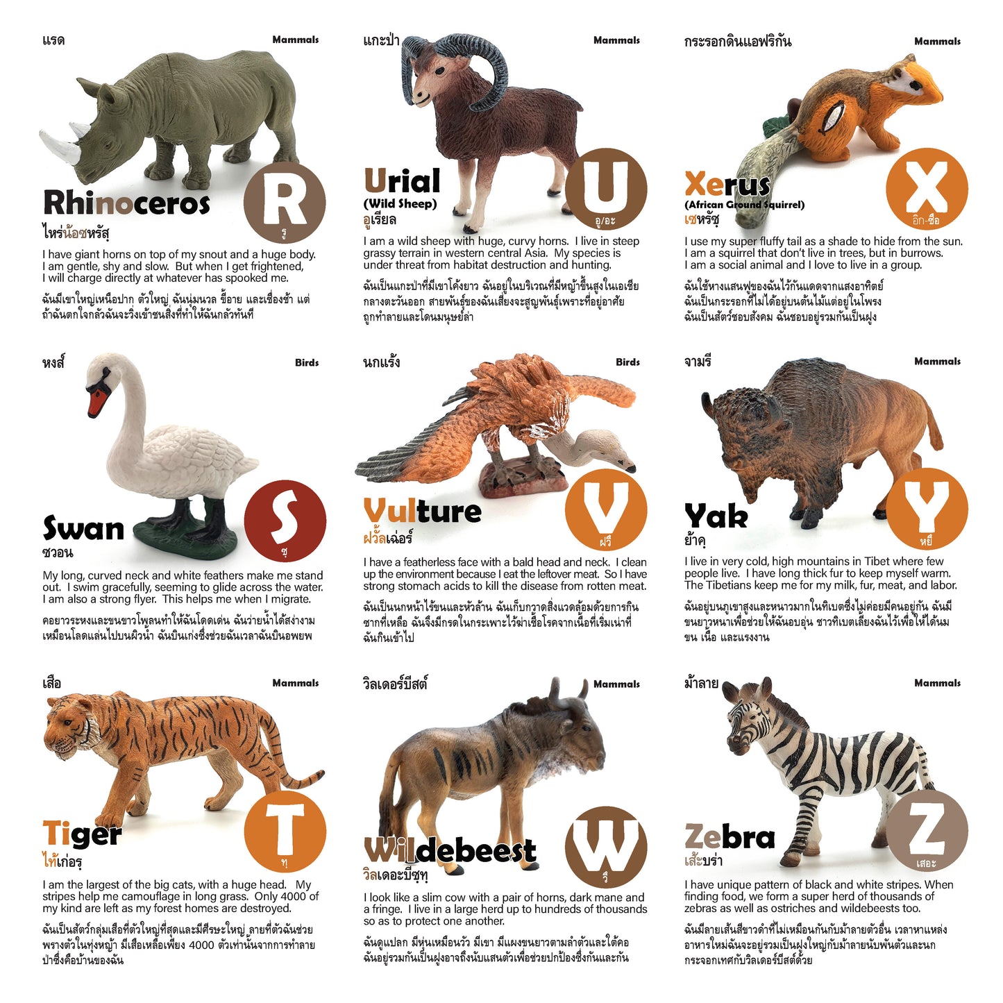 Toy Box Set: Wild Animals A-Z