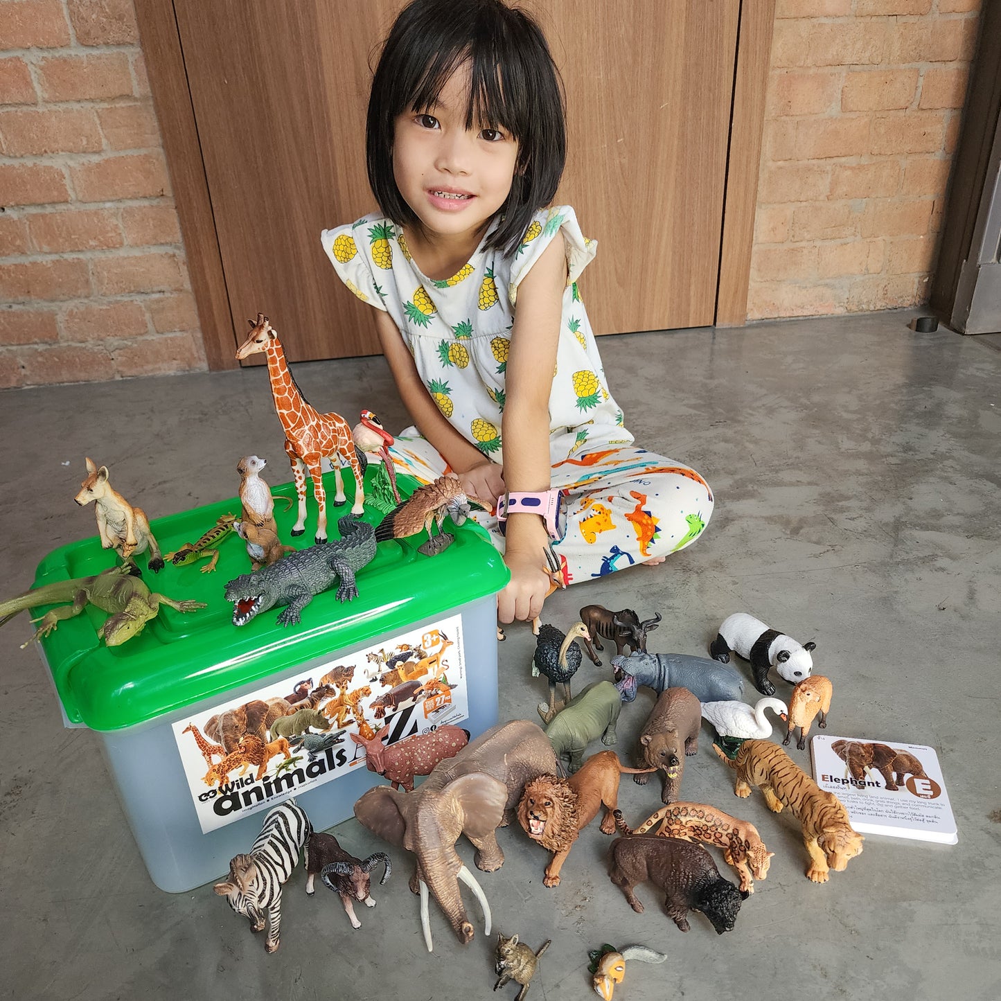 Toy Box Set: Wild Animals A-Z