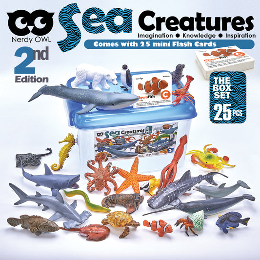 Toy Box Set: Sea Creatures