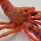 Toy Box Set: Sea Creatures