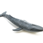 Toy Box Set: Sea Creatures