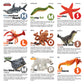 Toy Box Set: Sea Creatures