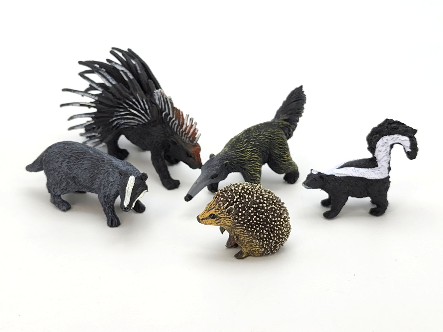 Toy Box Set: Exotic Mammals