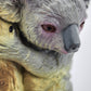 Toy Box Set: Exotic Mammals