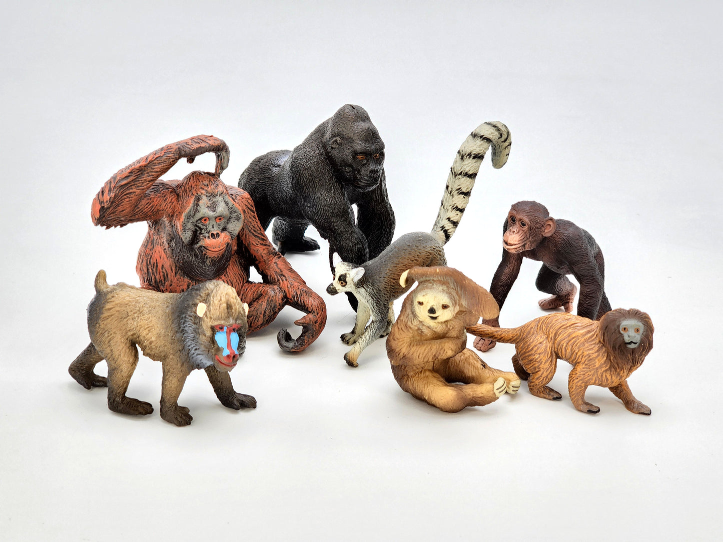 Toy Box Set: Exotic Mammals