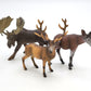 Toy Box Set: Exotic Mammals
