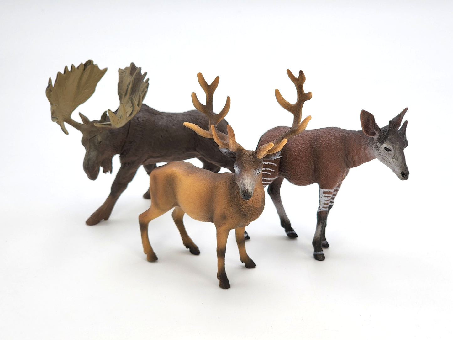 Toy Box Set: Exotic Mammals