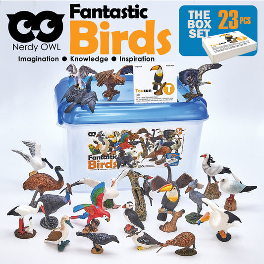 Toy Box Set: Fantastic Birds