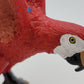 Toy Box Set: Fantastic Birds