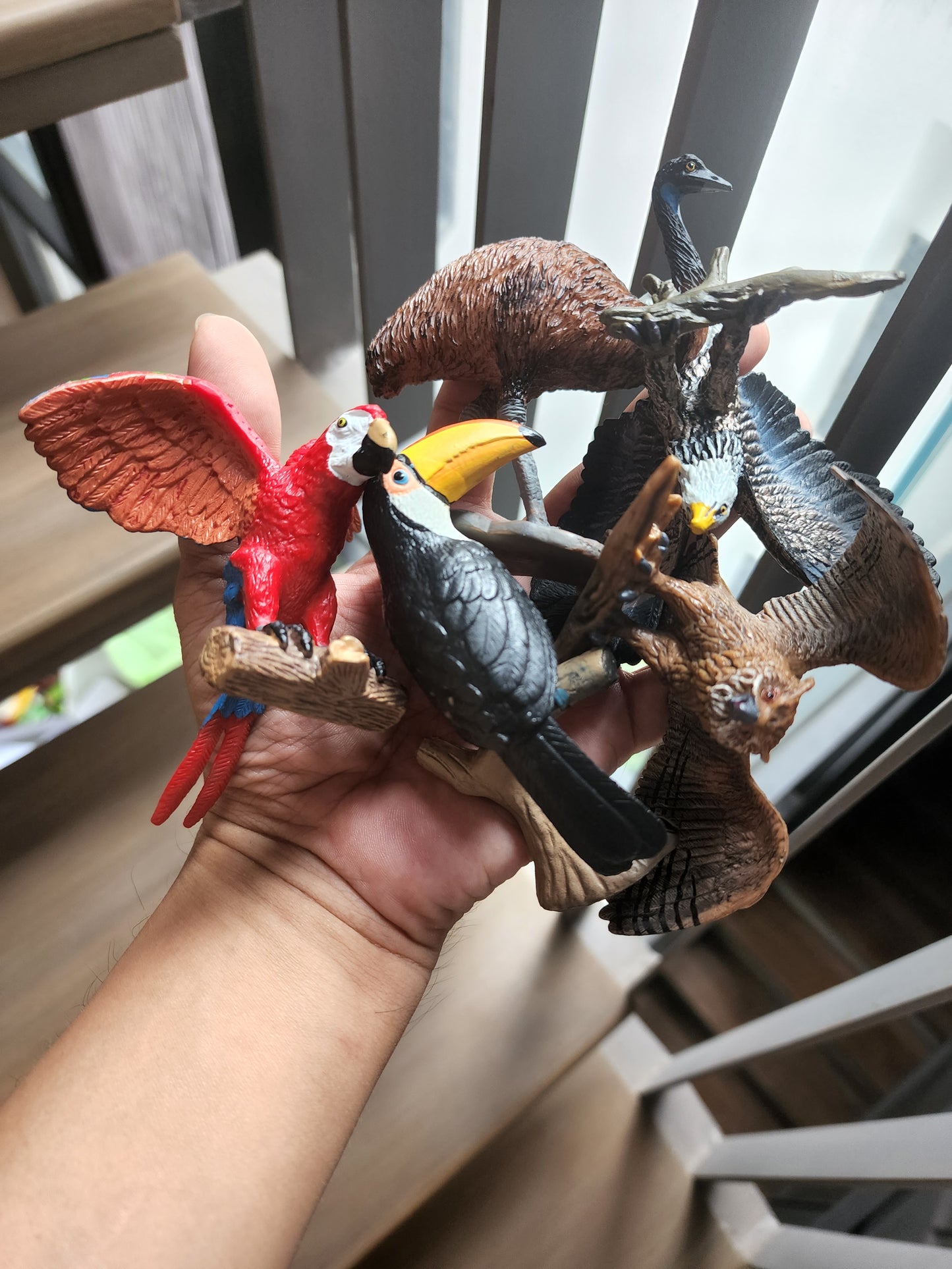 Toy Box Set: Fantastic Birds