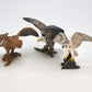 Toy Box Set: Fantastic Birds