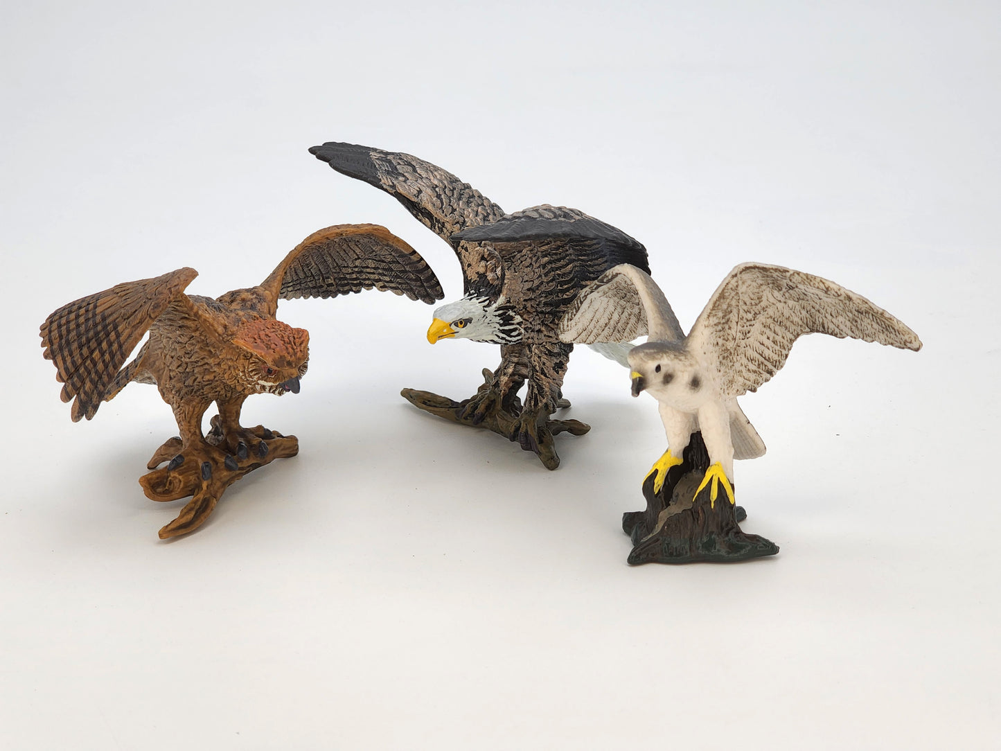 Toy Box Set: Fantastic Birds