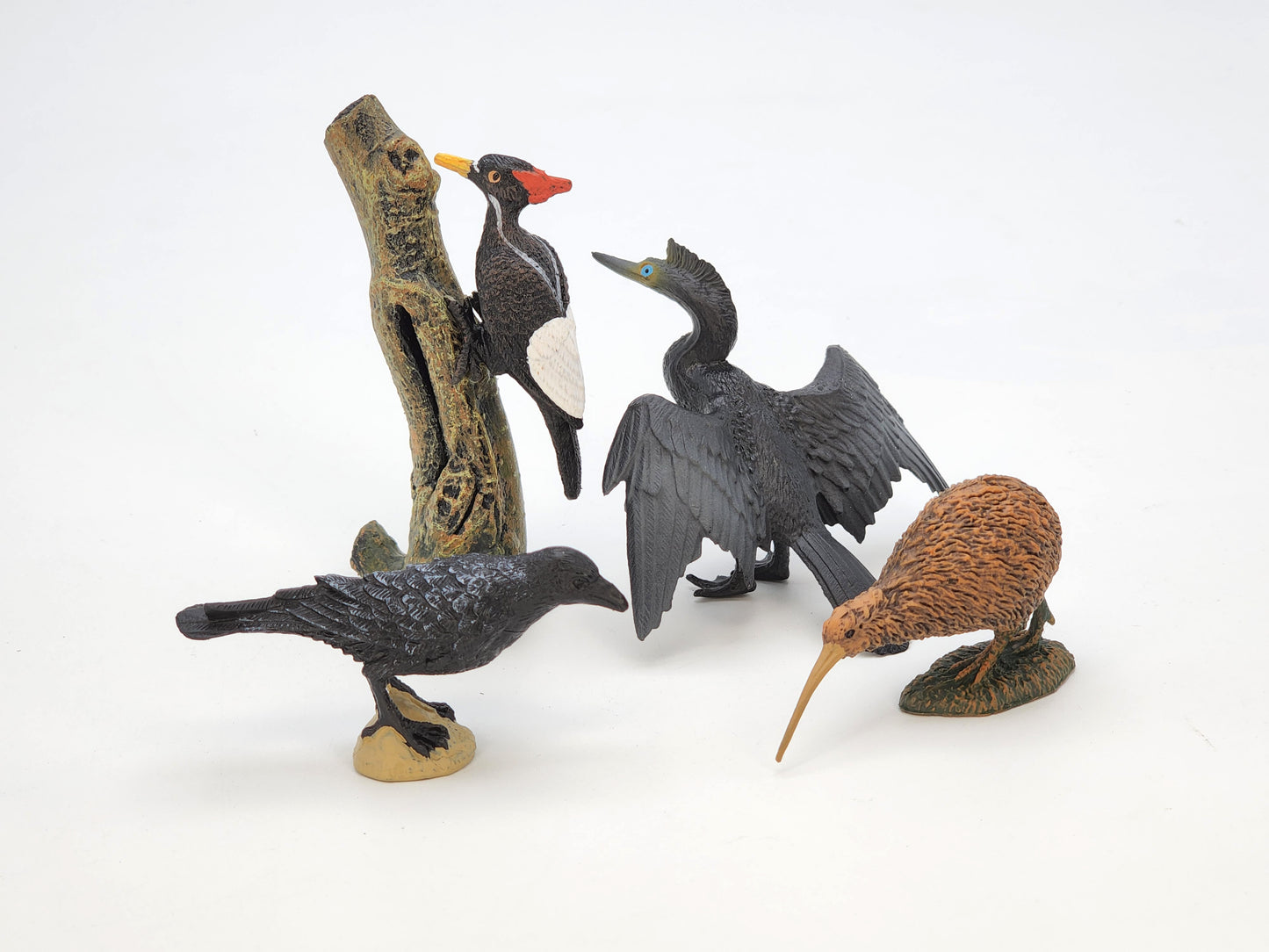 Toy Box Set: Fantastic Birds