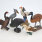 Toy Box Set: Fantastic Birds