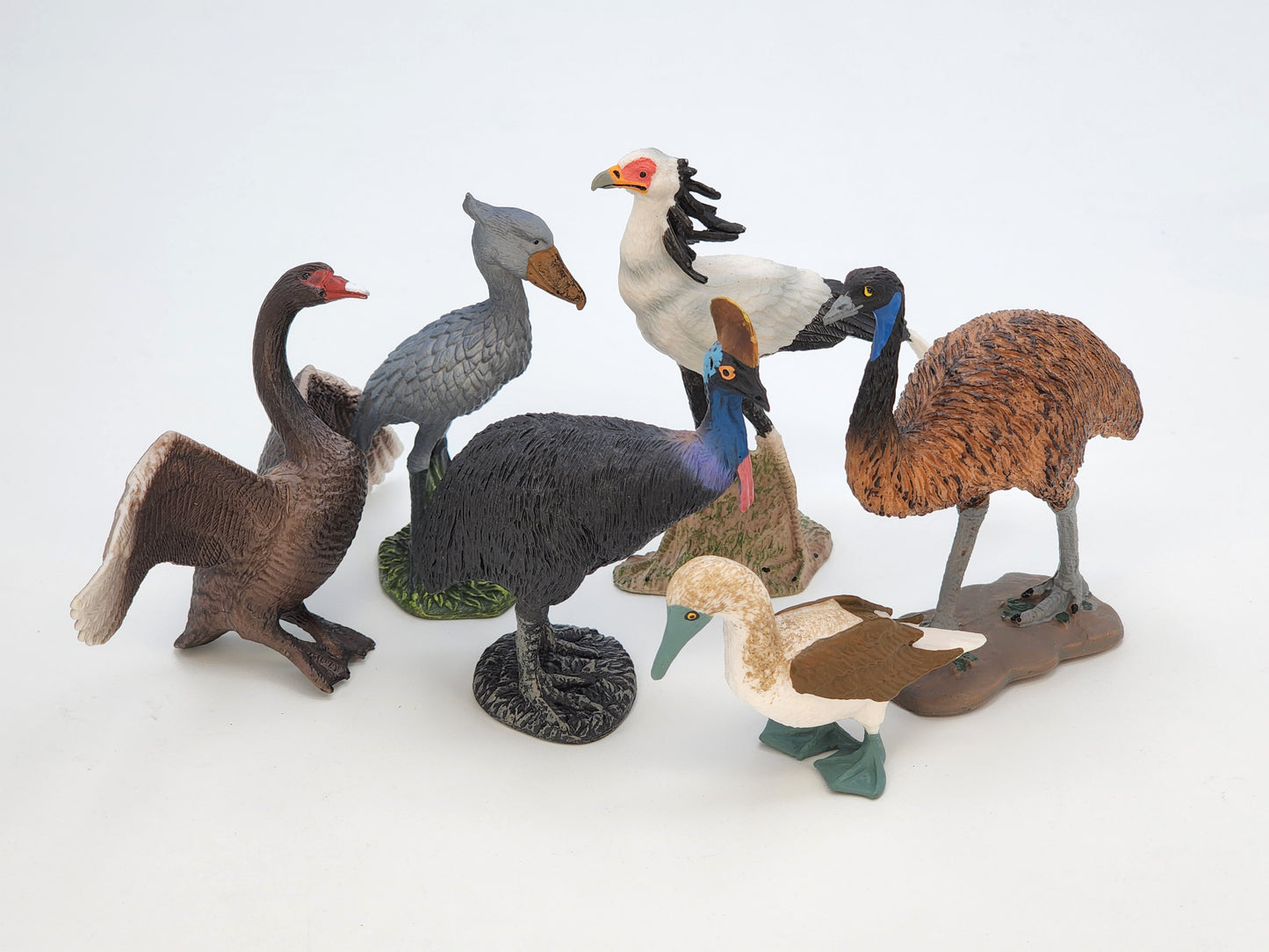 Toy Box Set: Fantastic Birds