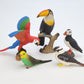 Toy Box Set: Fantastic Birds