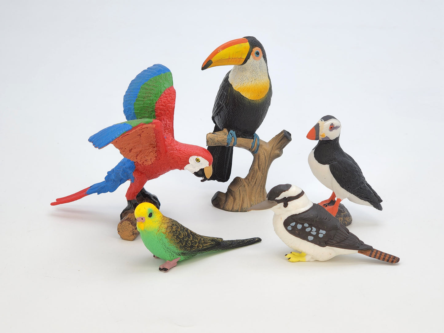 Toy Box Set: Fantastic Birds