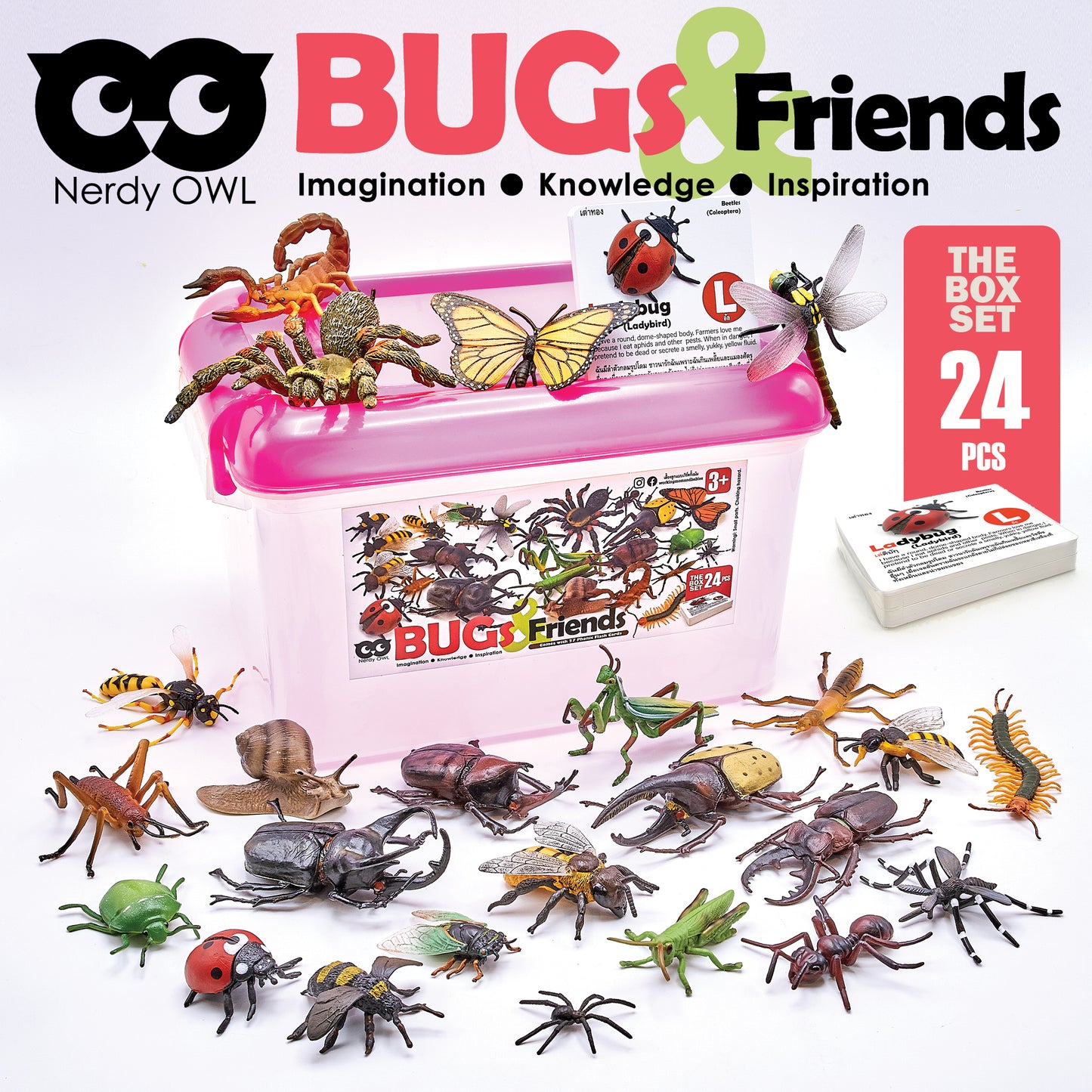 Toy Box Set: Bugs and Friends