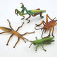 Toy Box Set: Bugs and Friends