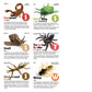 Toy Box Set: Bugs and Friends