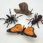 Toy Box Set: Bugs and Friends