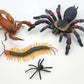 Toy Box Set: Bugs and Friends