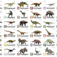 Flash Cards: World of Dinosaurs